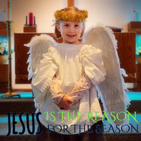 Meet your Posher, Amy - Picture 1 of 1